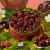 Bánh Cherry