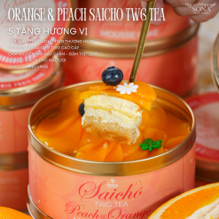 Orange & Peach Saicho TWG Tea