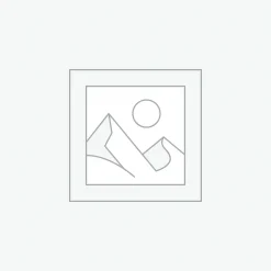 Nơi nhập dữ liệu